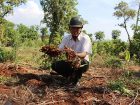 bo-bo-bo-tieu-trong-nghe-cu-gia-chuc-thoi-ma-khong-co-ai-mua